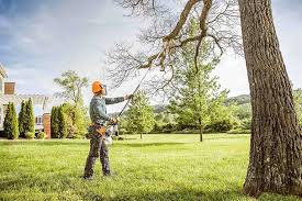 New Freedom, PA  Tree Services Company